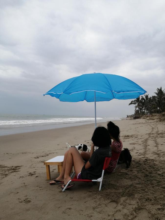 Glamping Vista Palmeras
