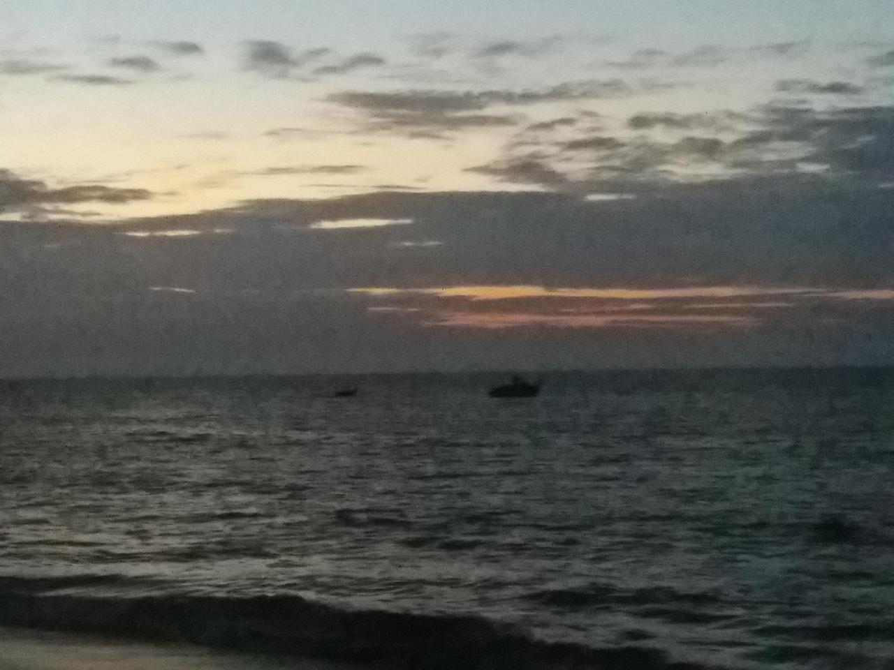 Vista Palmeras Glamping *